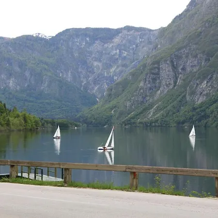 & 2* Bohinj