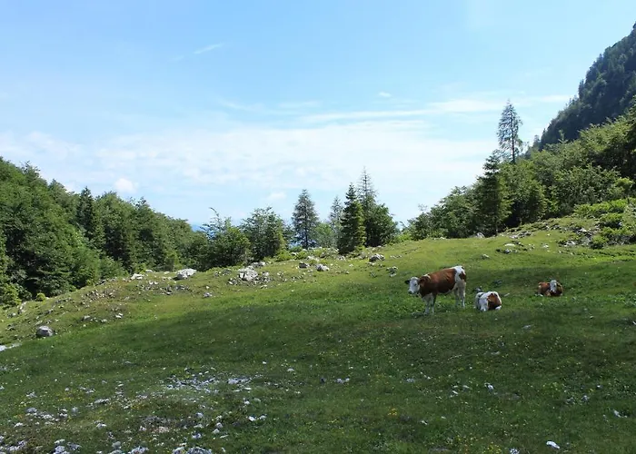 & Casa de hóspedes 2*