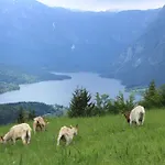 & Гостевой дом