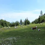 & Гостевой дом 2*