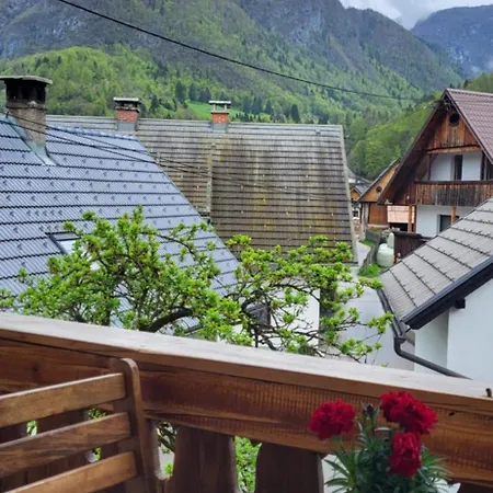 Apartments&hostel Bohinj