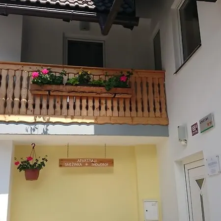 ＆ 2* ボーヒニ