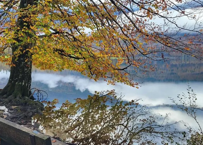 & Hiša za goste Bohinj